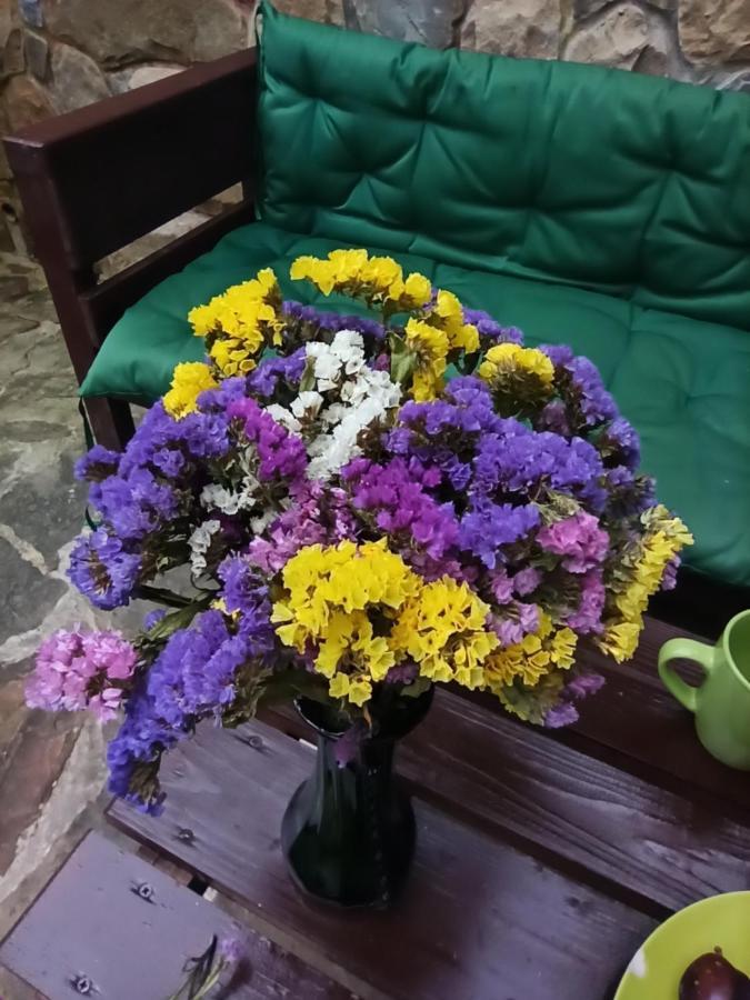Котедж "Солард" Yaremche Bagian luar foto