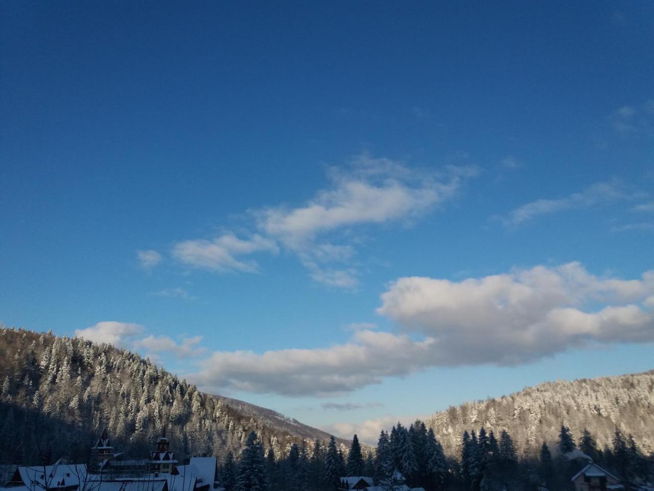 Котедж "Солард" Yaremche Bagian luar foto